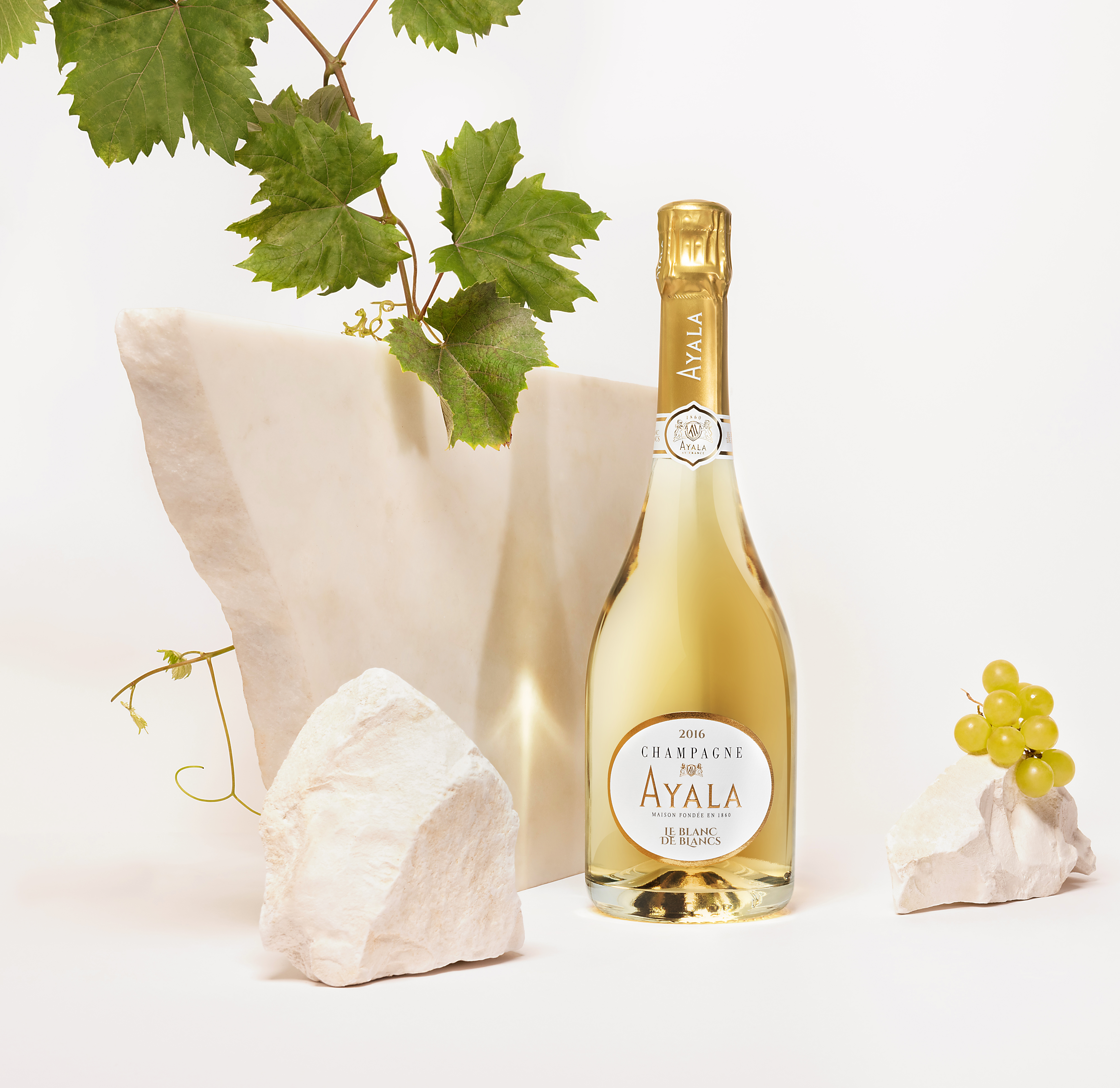 Le Blanc de Blancs